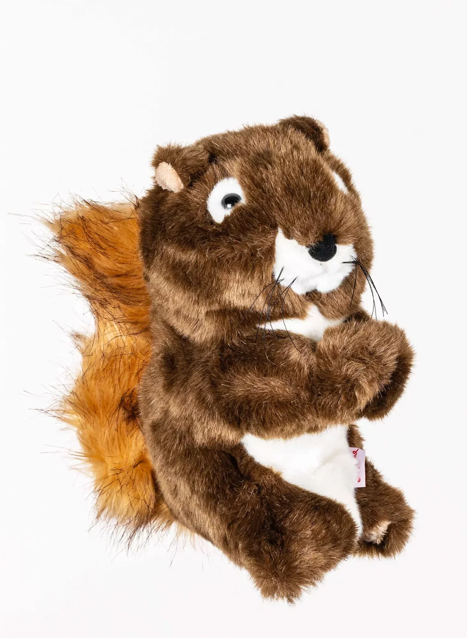 Daphne's headcover SQUIRREL