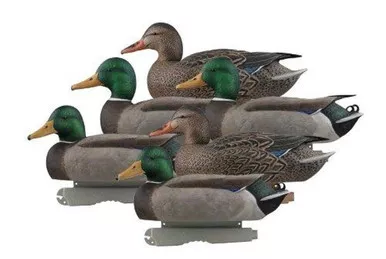 **DU Edition Pontoon Mallard Per/6