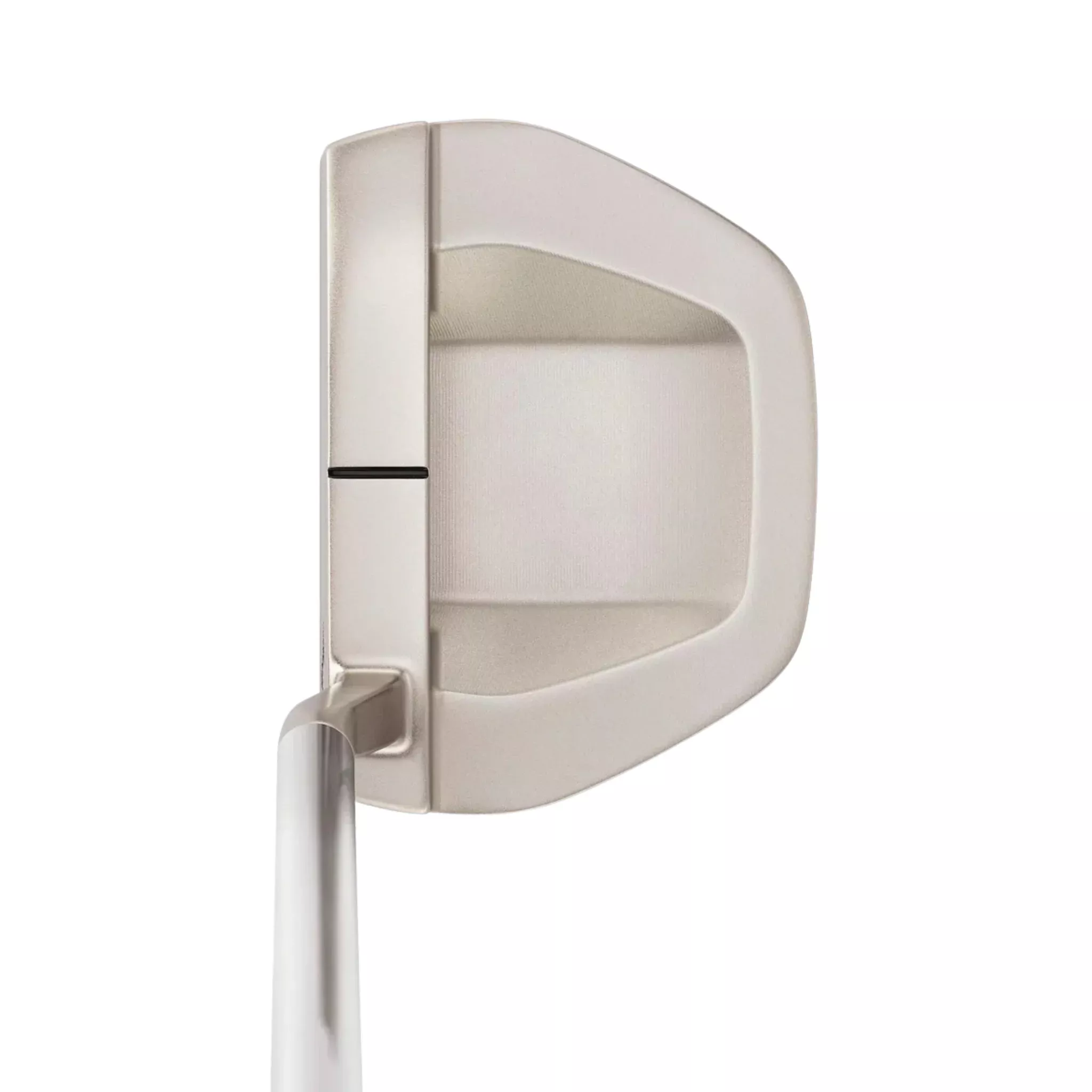 Mizuno M.Craft Nagoya Putter | Nickel