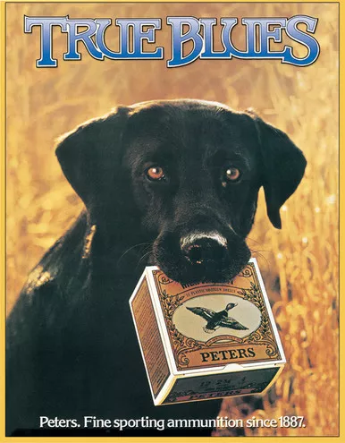 Tin Sign 0928 Peters - True Blue Lab
