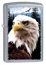 ZippoEagle